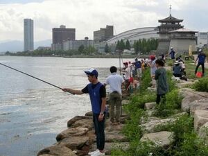 住友ゴムがボランティア 外来魚釣りで駆除活動 近畿圏 紙面記事