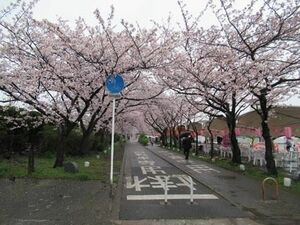 千葉トヨペット 恒例の桜まつりイベント開催 首都圏 紙面記事