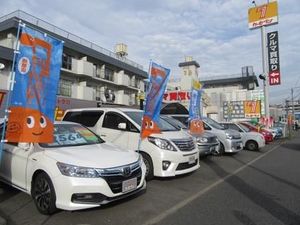 中古車販売店ルポ カーセブン狩場インター店 横浜市保土ヶ谷区 紙面記事