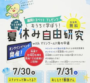 福岡トヨペット マリンワールド海の中道を会場に 小学生夏休み自由研究 水族館スタッフが特別授業 九州 九州