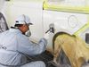 車体整備事業者、水性塗料の導入増加 測色機の採用で作業を効率的に