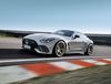 メルセデス・ベンツ日本、サーキット向けのAMG「GT63プロ4マチック+クーペ」を追加