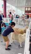 スズキ自販佐賀、児童の下校見守る交通安全活動行う｜九州｜九州