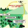 アイサンテクノロジーとKDDI、自動運転車とドローンを組み合わせたラストワンマイル物流を実証 2030年めどに実用化